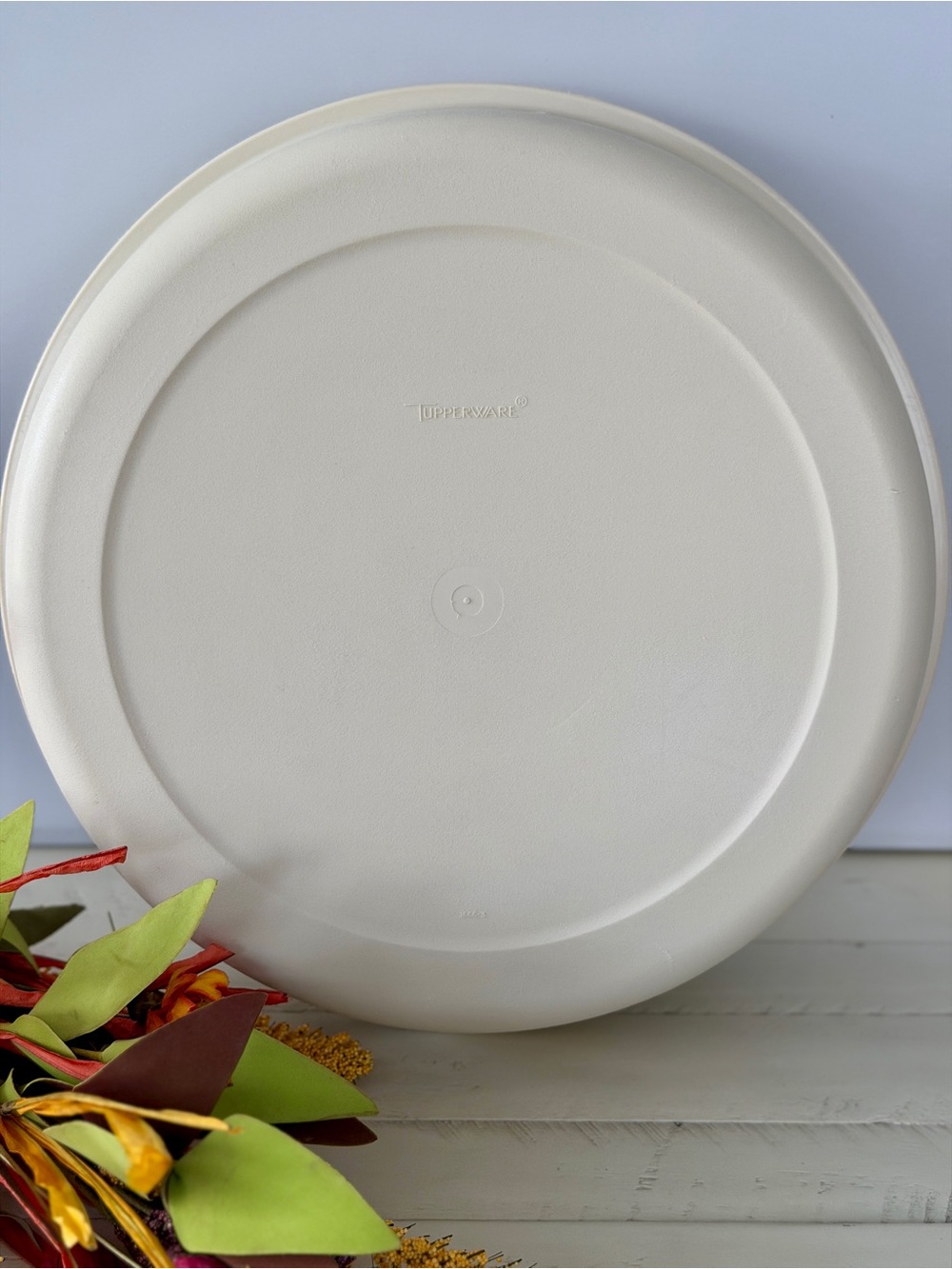 Vintage Tupperware #1666-3 Almond Divided Serving Tray with Lid